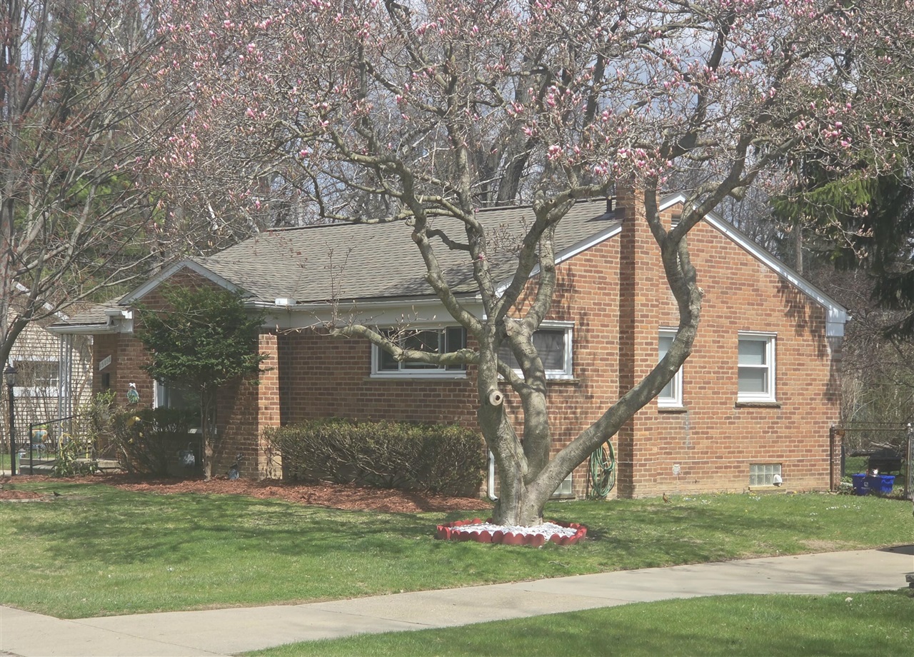 15058 Dixie, Redford, MI, 48239-3426