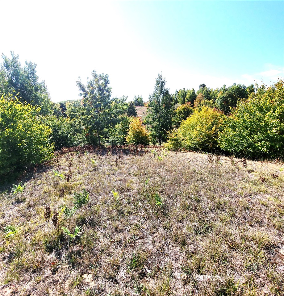 Eagle Ridge Circle, Onekama, MI, 49675