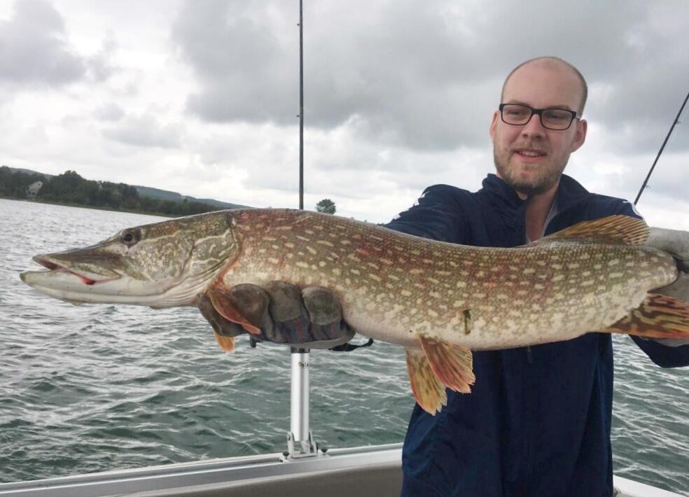 Eagle Ridge Circle, Onekama, MI, 49675