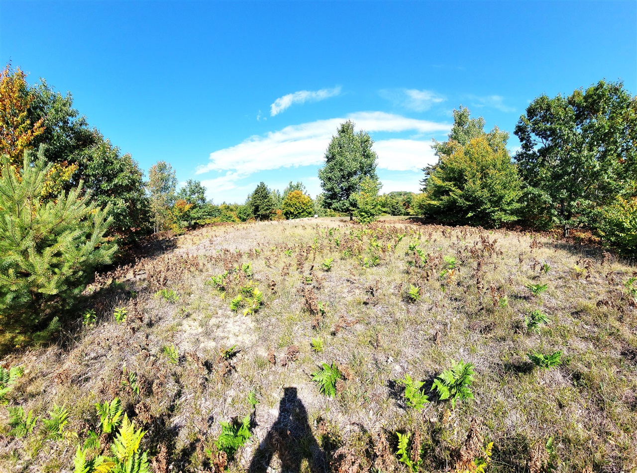 Eagle Ridge Circle, Onekama, MI, 49675