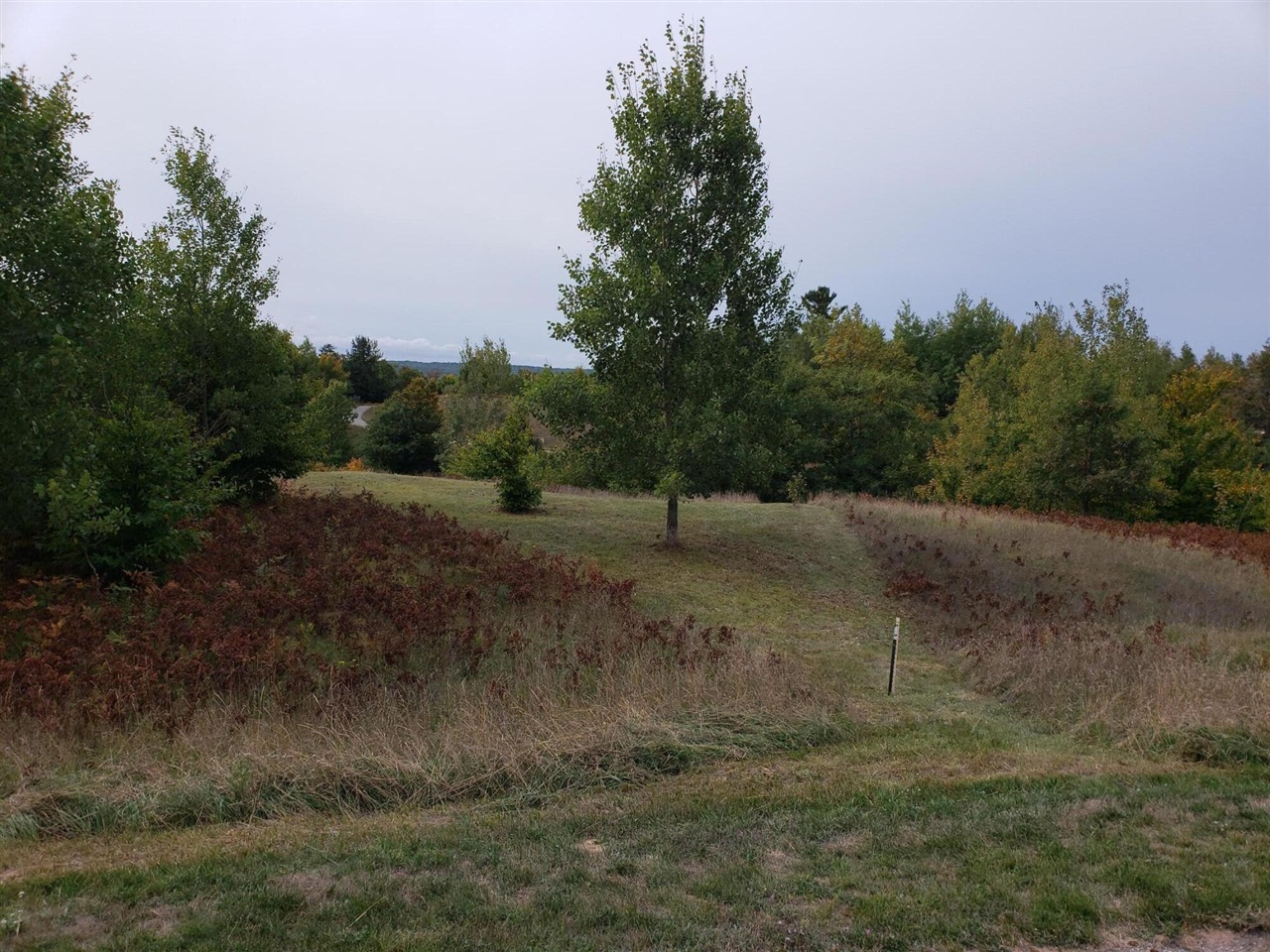 Eagle Ridge Circle, Onekama, MI, 49675