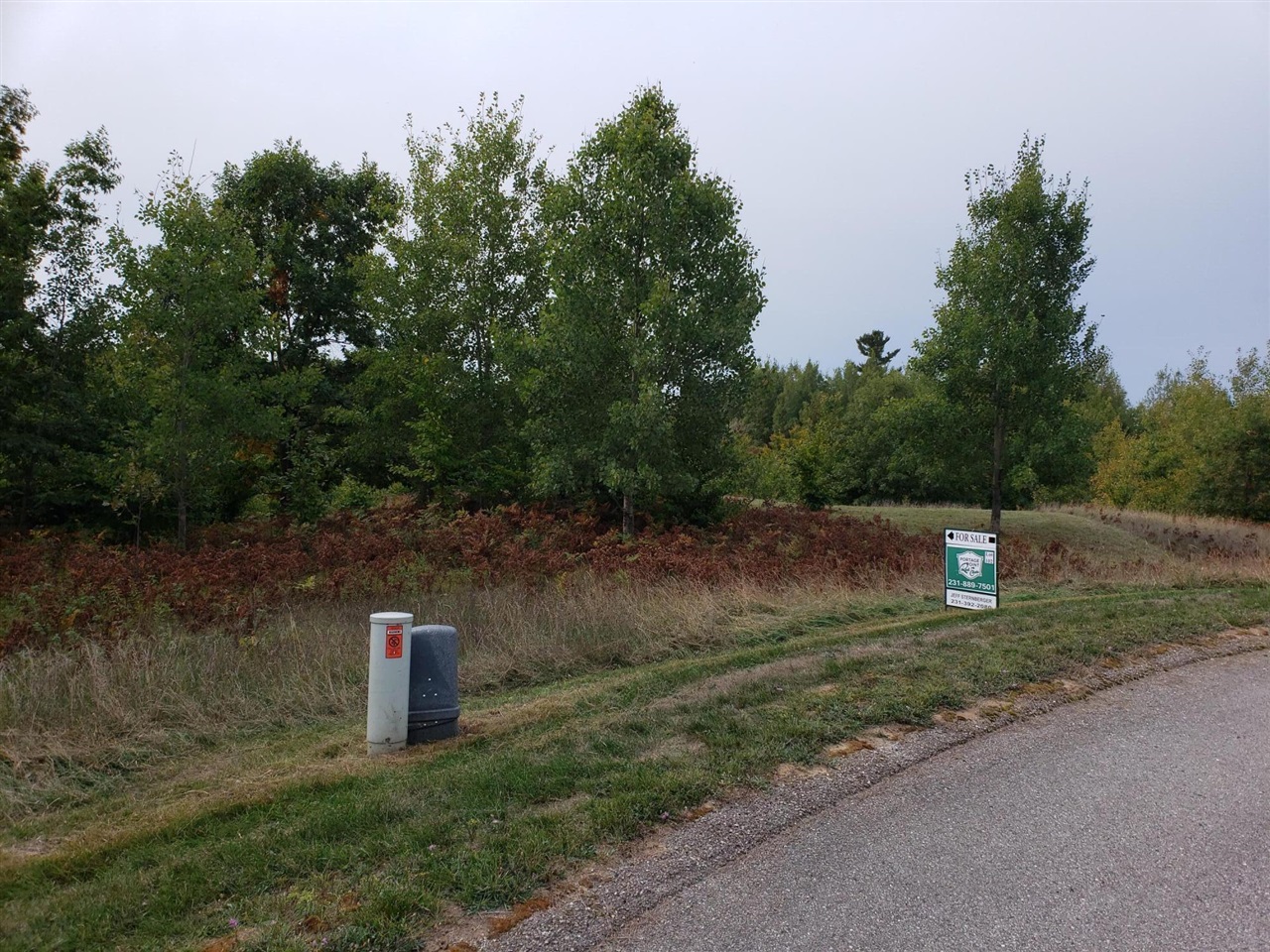 Eagle Ridge Circle, Onekama, MI, 49675