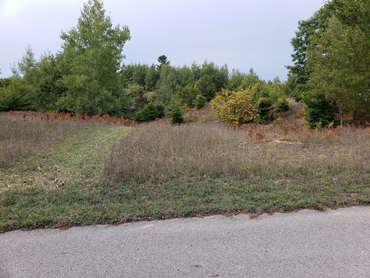 Eagle Ridge Circle, Onekama, MI, 49675