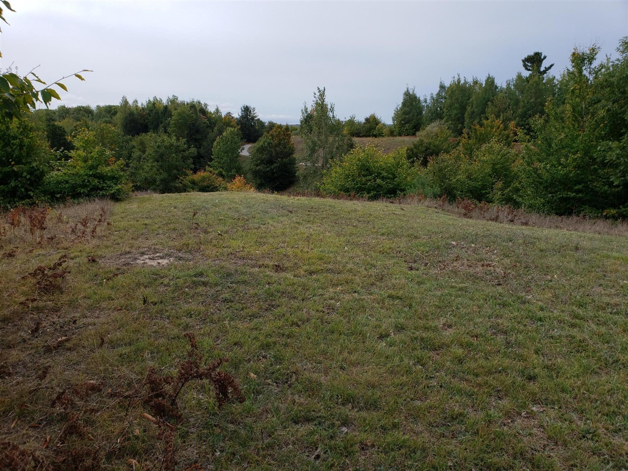 Eagle Ridge Circle, Onekama, MI, 49675