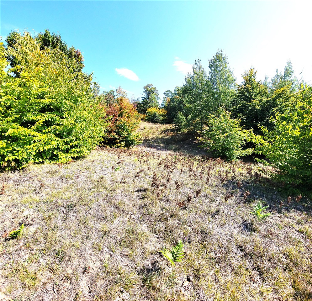 Eagle Ridge Circle, Onekama, MI, 49675