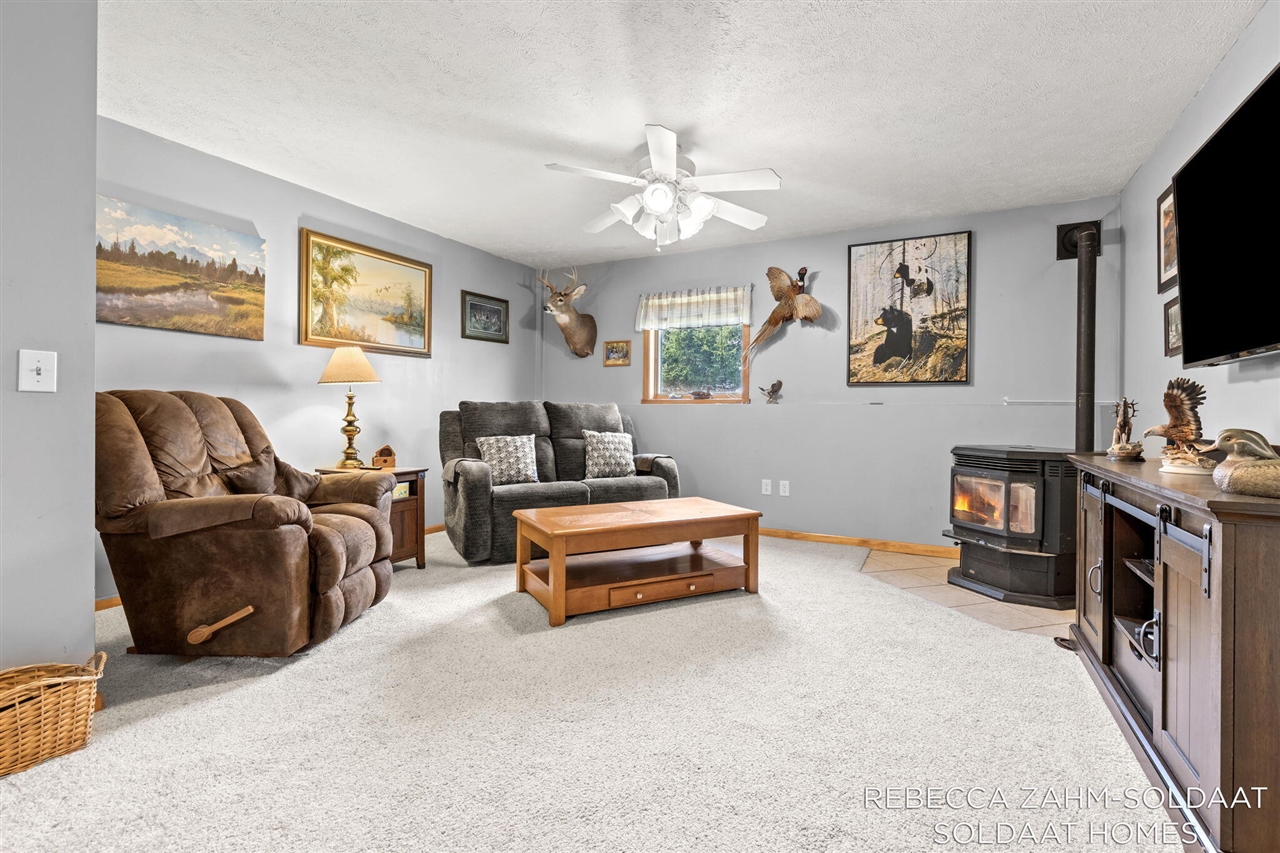 11496 4 Mile Road, Belding, MI, 48809