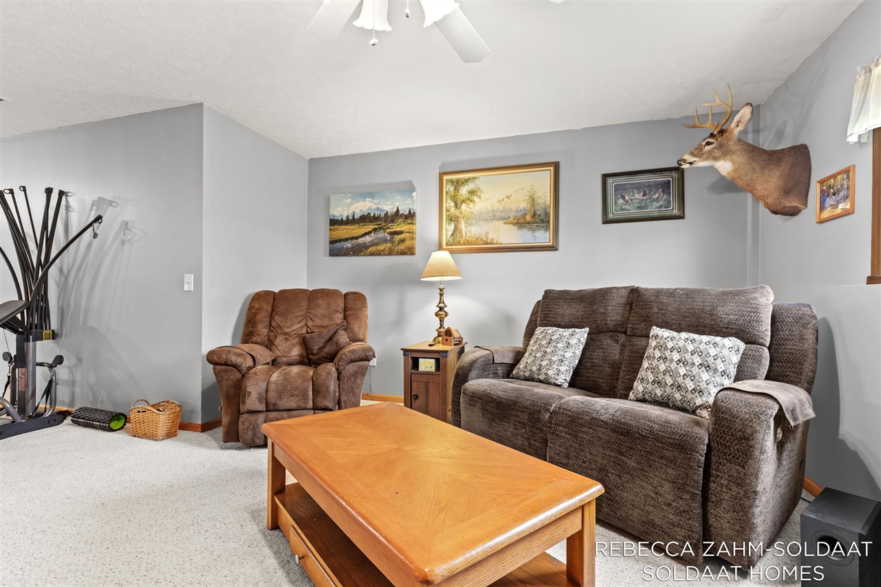 11496 4 Mile Road, Belding, MI, 48809