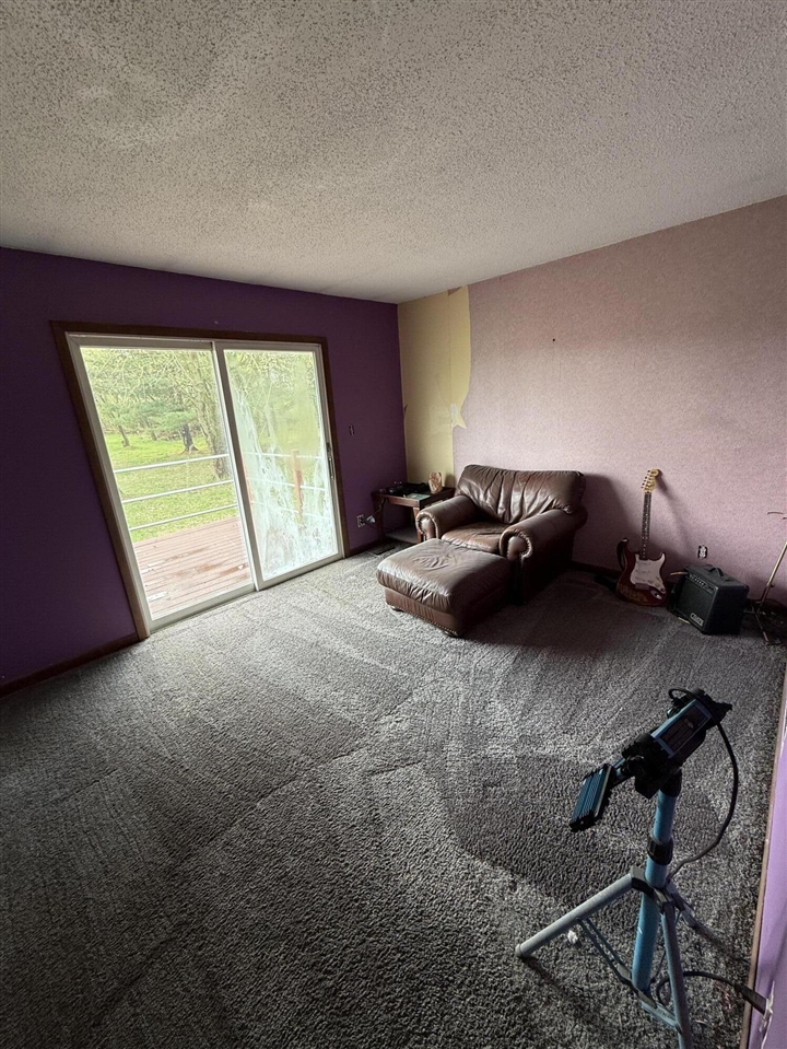 8691 Clarklake Road, Clarklake, MI, 49234-9709