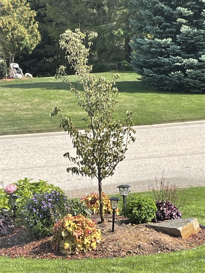 6837 Westshire Drive, Norton Shores, MI, 49444-7804