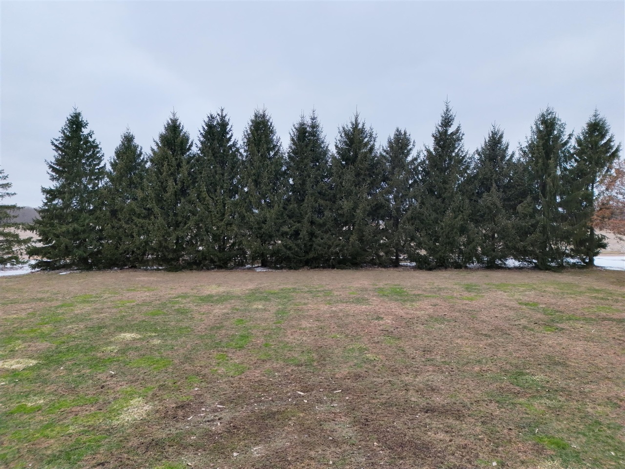 V/L S Bradley Road, Charlotte, MI, 48813-9514