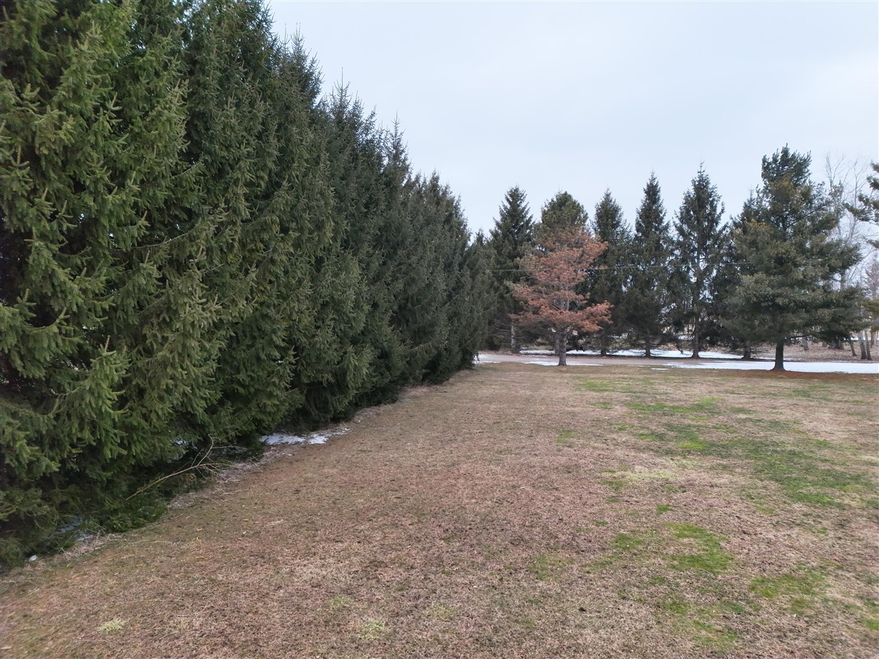 V/L S Bradley Road, Charlotte, MI, 48813-9514