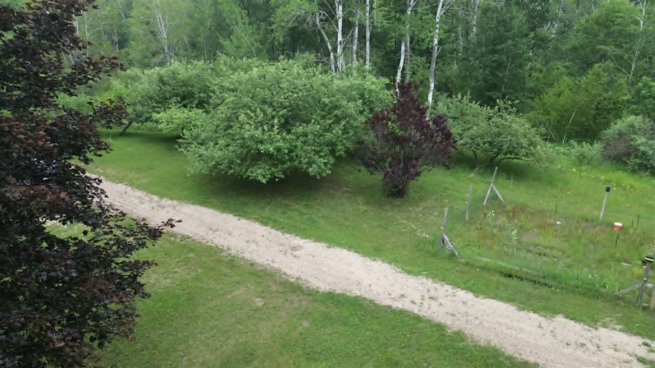 1st image of 21632 90th Ave, Evart, MI 49631 | MLS# 70525245