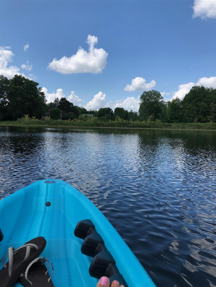 9033 Timbercrest Lane, Whitmore Lake, MI, 48189-8207