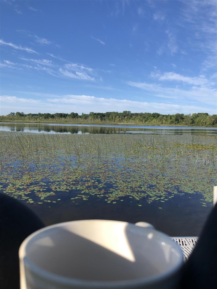 9033 Timbercrest Lane, Whitmore Lake, MI, 48189-8207