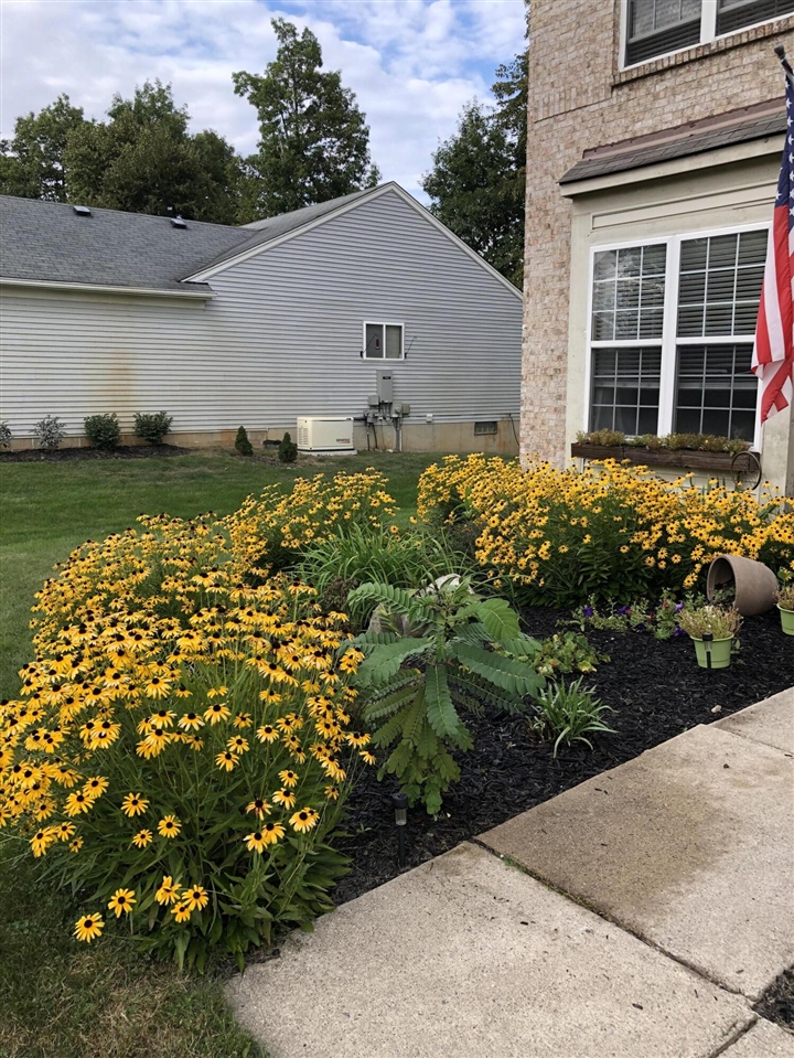 9033 Timbercrest Lane, Whitmore Lake, MI, 48189-8207