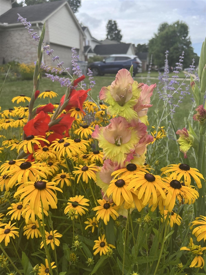 9033 Timbercrest Lane, Whitmore Lake, MI, 48189-8207