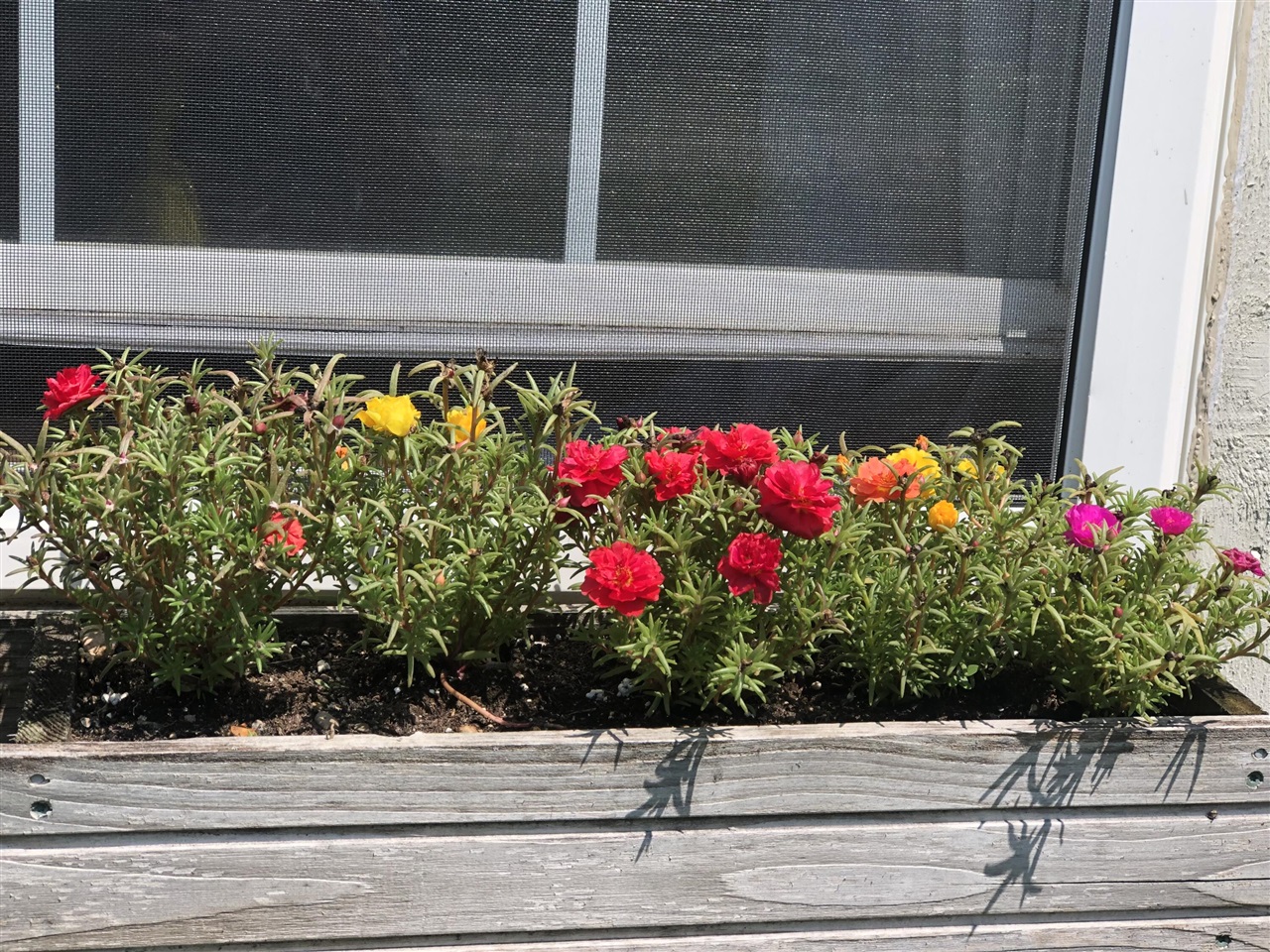 9033 Timbercrest Lane, Whitmore Lake, MI, 48189-8207