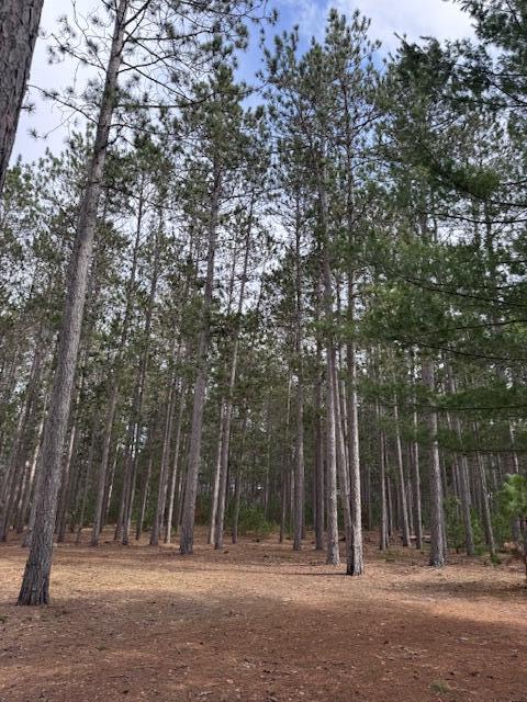 22440 11 Mile Road, Reed City, MI, 49677-7935
