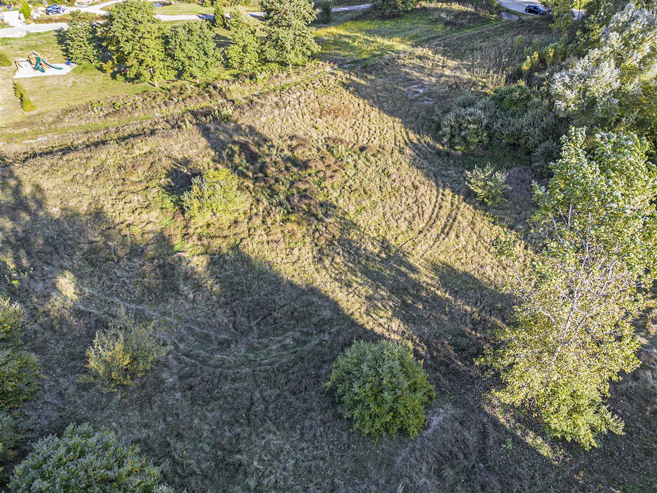 5326 River Ridge Lane, Ann Arbor, MI, 48103-8899