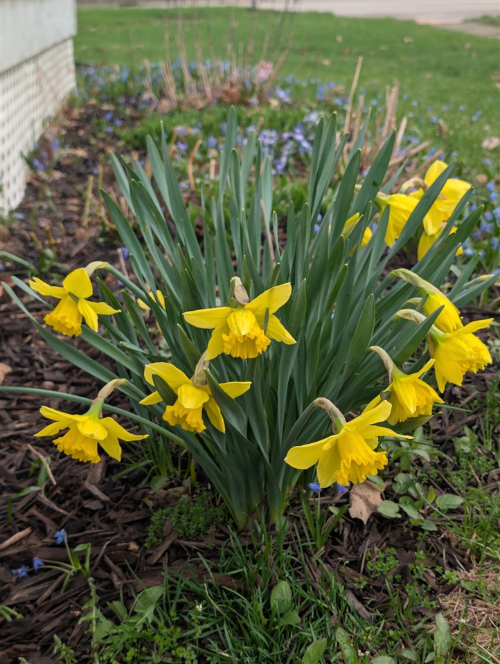 301 W Washington Street, Greenville, MI, 48838-2263