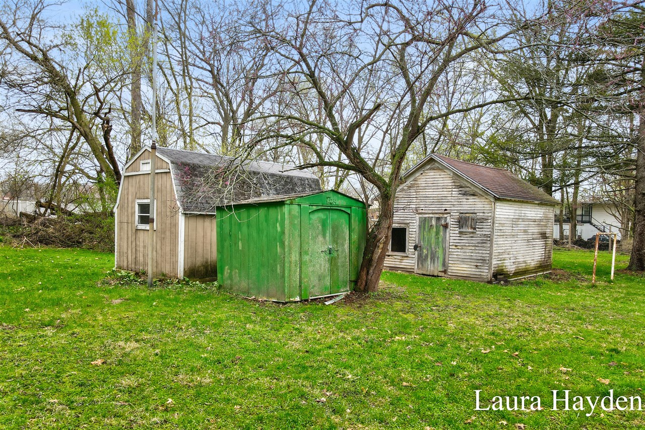 350 Mill Street, Saranac, MI, 48881-9709