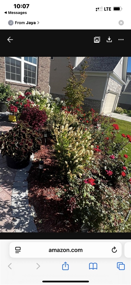 552 Wishing Tree Lane, Ann Arbor, MI, 48108-2839