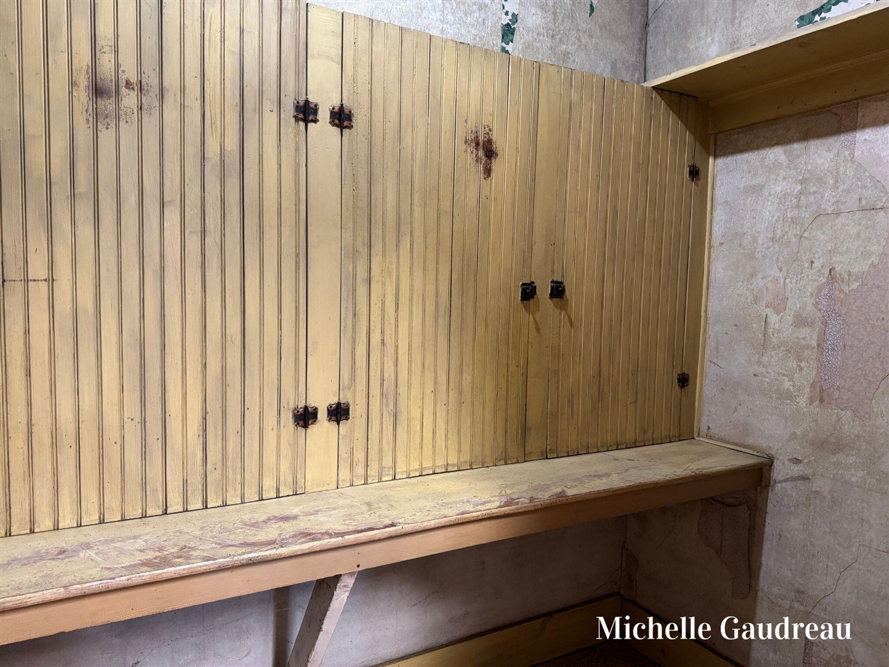 116 W Main Street, Caledonia, MI, 49316