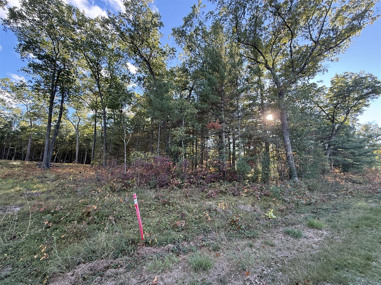 1127 Chicago Drive, Whitehall, MI, 49461