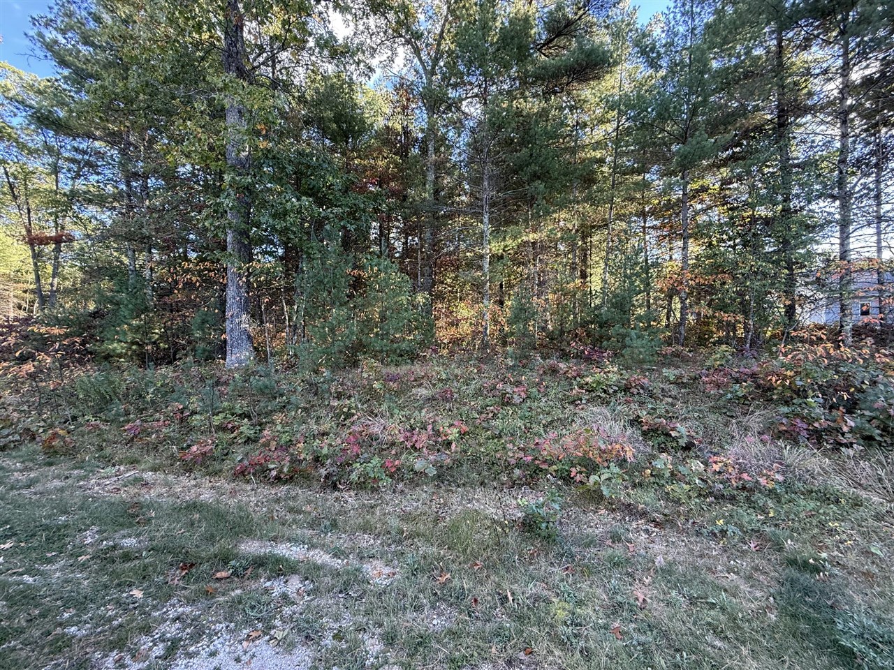 1127 Chicago Drive, Whitehall, MI, 49461