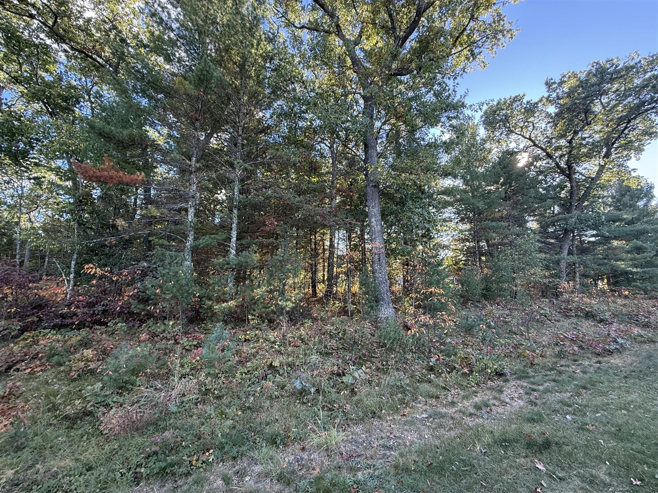 1127 Chicago Drive, Whitehall, MI, 49461