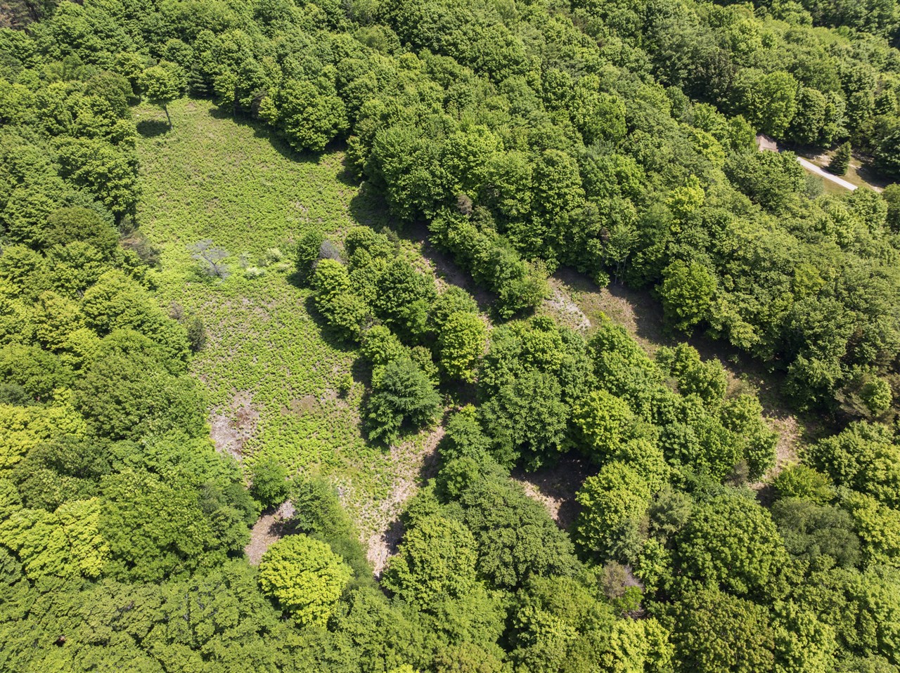 4th image of 0 Day Ave, Frankfort, MI 49635 | MLS# 70525638