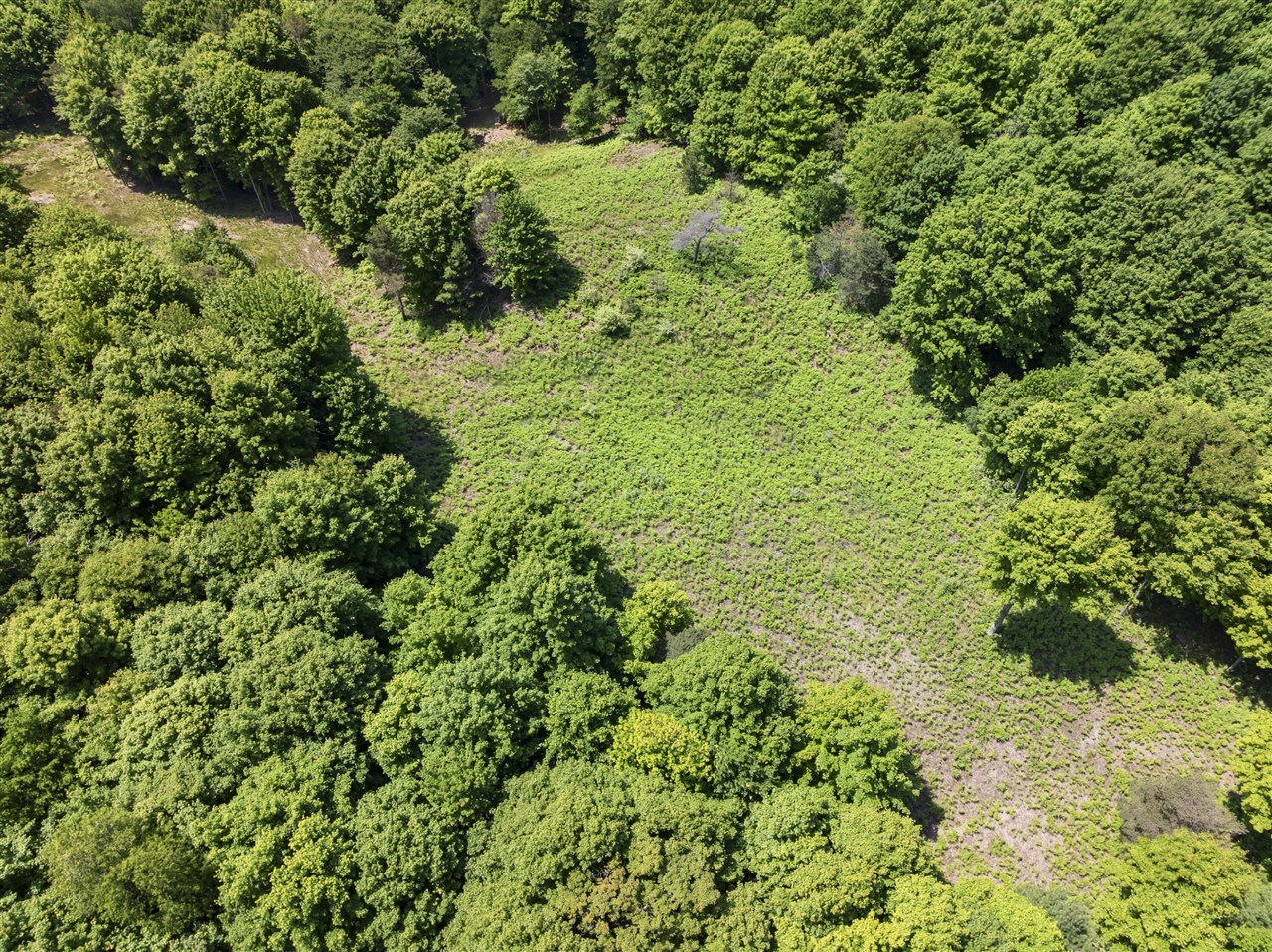 5th image of 0 Day Ave, Frankfort, MI 49635 | MLS# 70525638