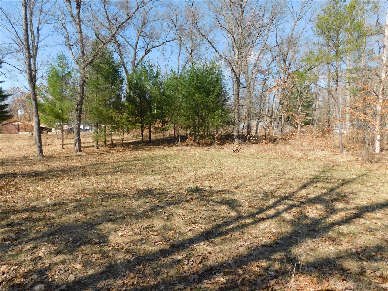 647 N Hart Road, Wellston, MI, 49689-9653