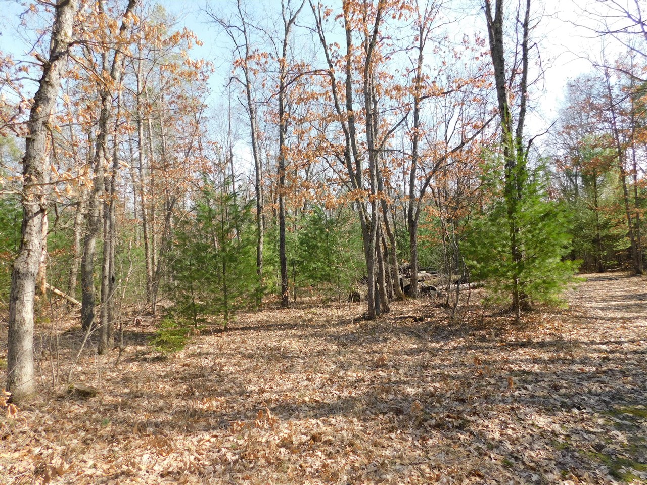 647 N Hart Road, Wellston, MI, 49689-9653