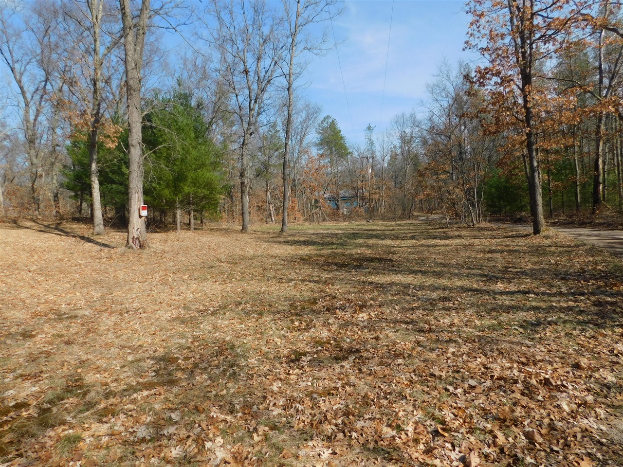 647 N Hart Road, Wellston, MI, 49689-9653