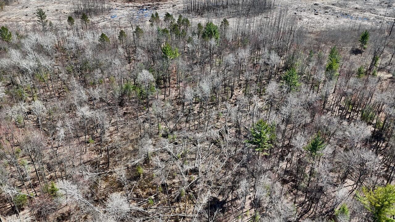 1697 Wildwood Road, Sterling, MI, 48659-9206