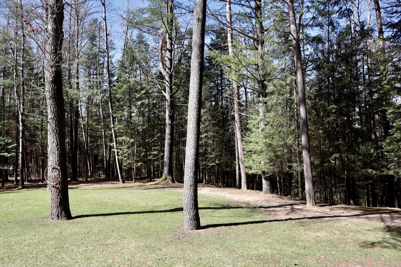 1697 Wildwood Road, Sterling, MI, 48659-9206