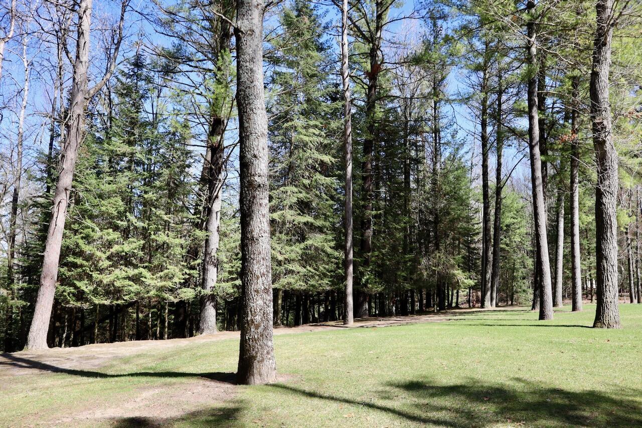 1697 Wildwood Road, Sterling, MI, 48659-9206