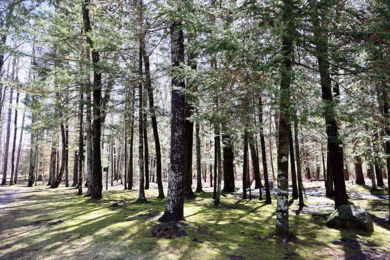 1697 Wildwood Road, Sterling, MI, 48659-9206