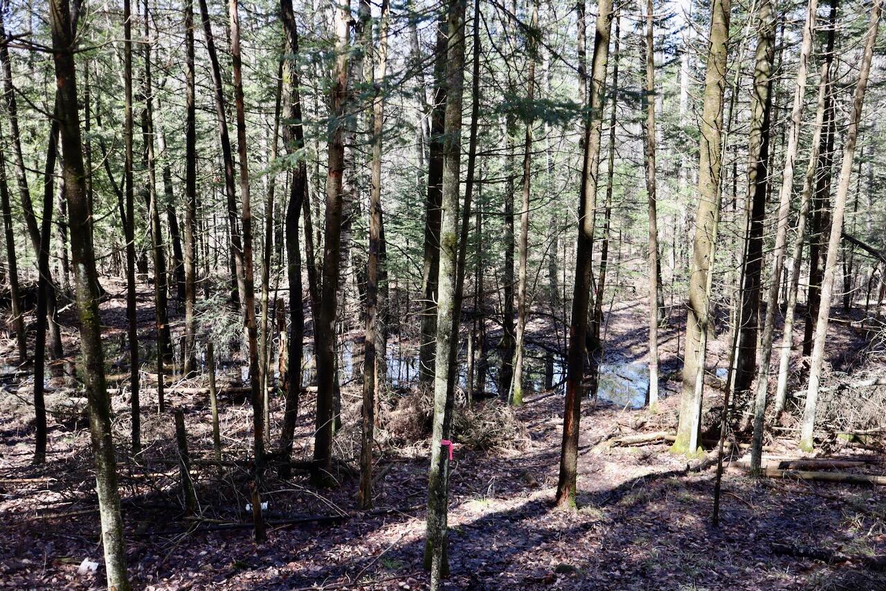 1697 Wildwood Road, Sterling, MI, 48659-9206