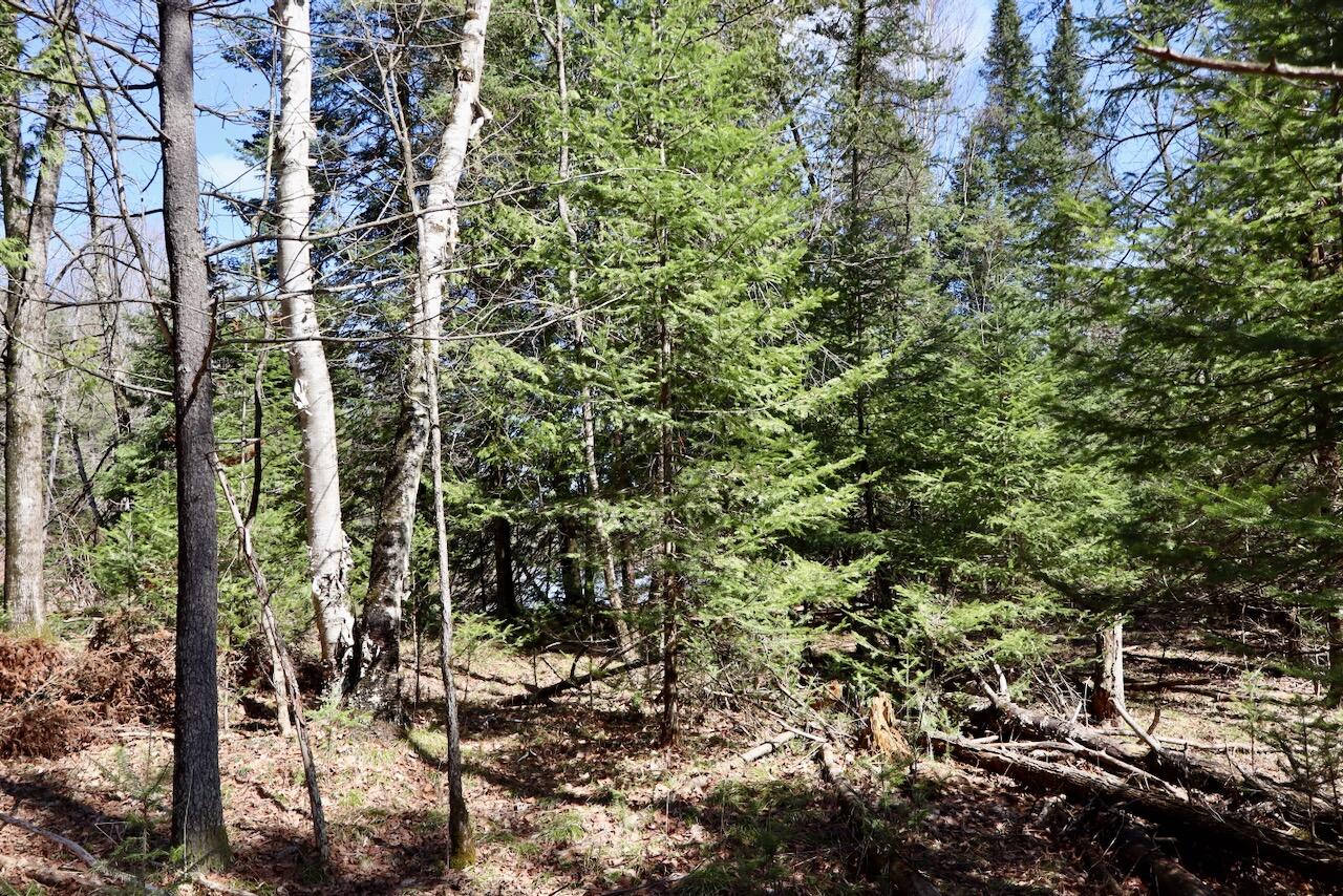1697 Wildwood Road, Sterling, MI, 48659-9206