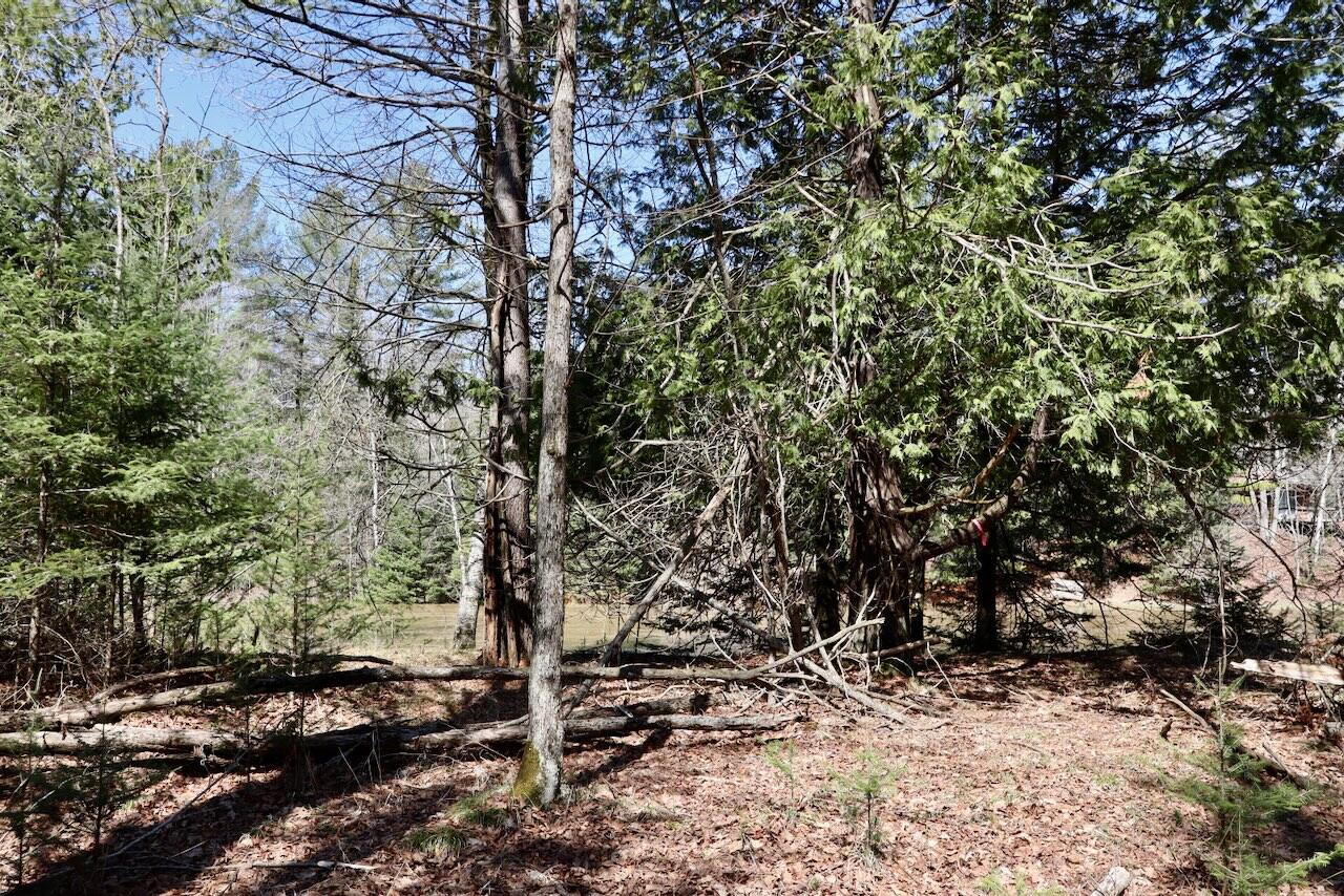 1697 Wildwood Road, Sterling, MI, 48659-9206