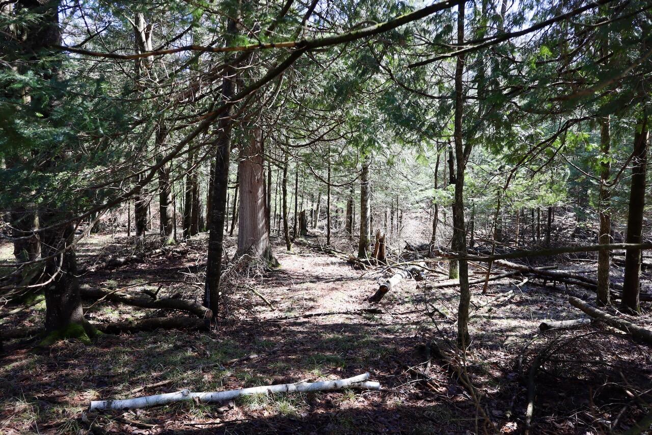 1697 Wildwood Road, Sterling, MI, 48659-9206