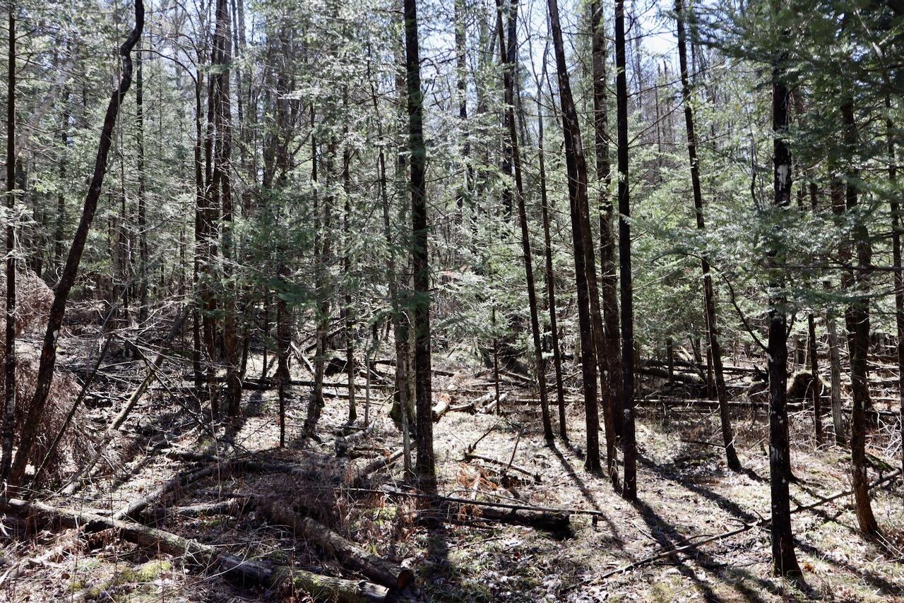 1697 Wildwood Road, Sterling, MI, 48659-9206