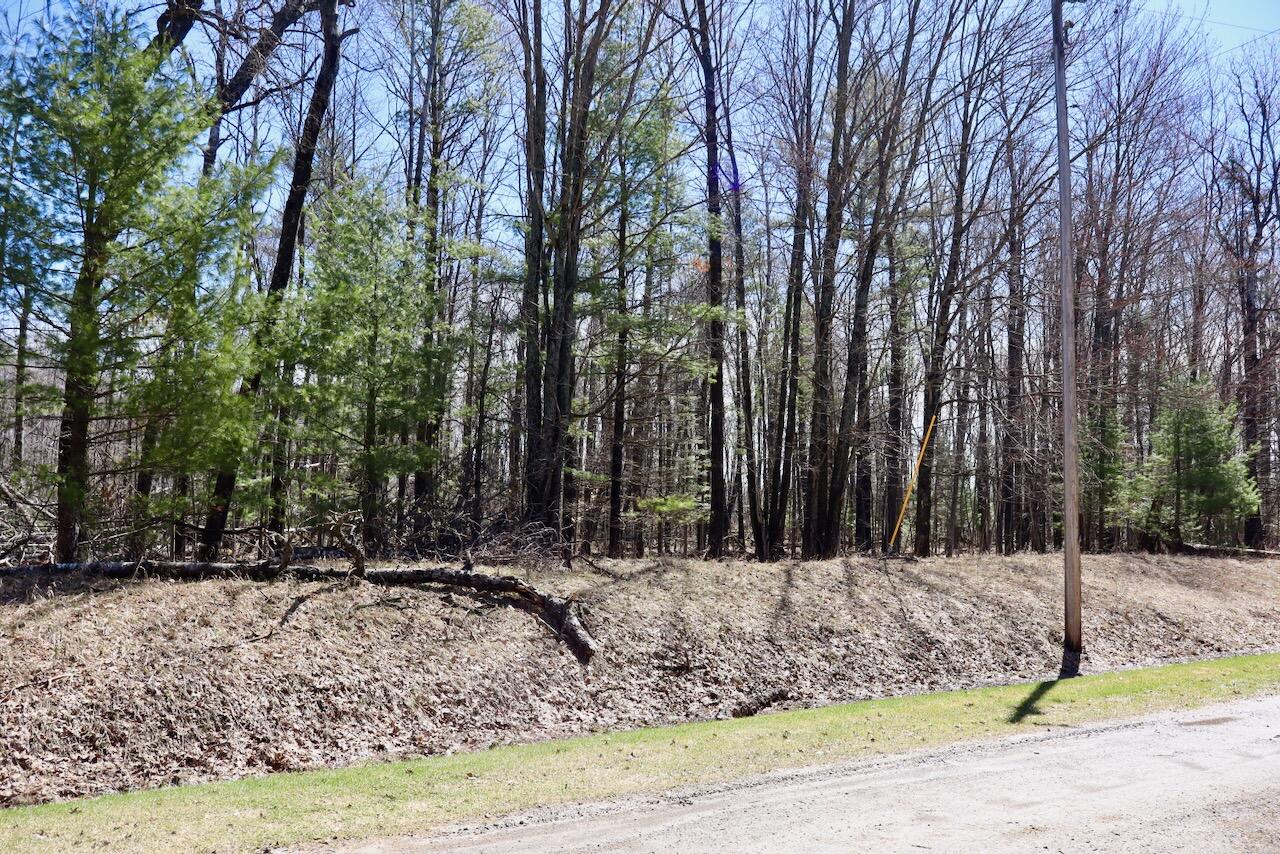 1697 Wildwood Road, Sterling, MI, 48659-9206