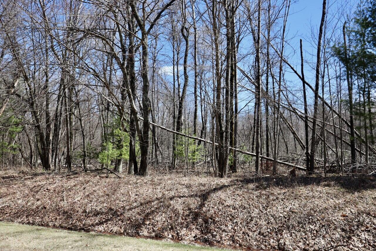 1697 Wildwood Road, Sterling, MI, 48659-9206