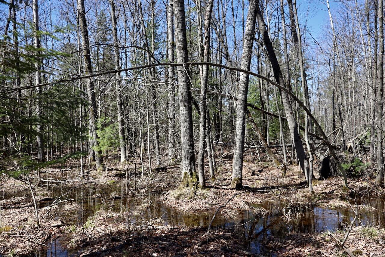 1697 Wildwood Road, Sterling, MI, 48659-9206
