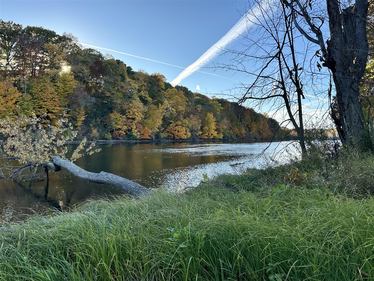 673 S Cygnet Lake Drive, Benton Harbor, MI, 49022-6116