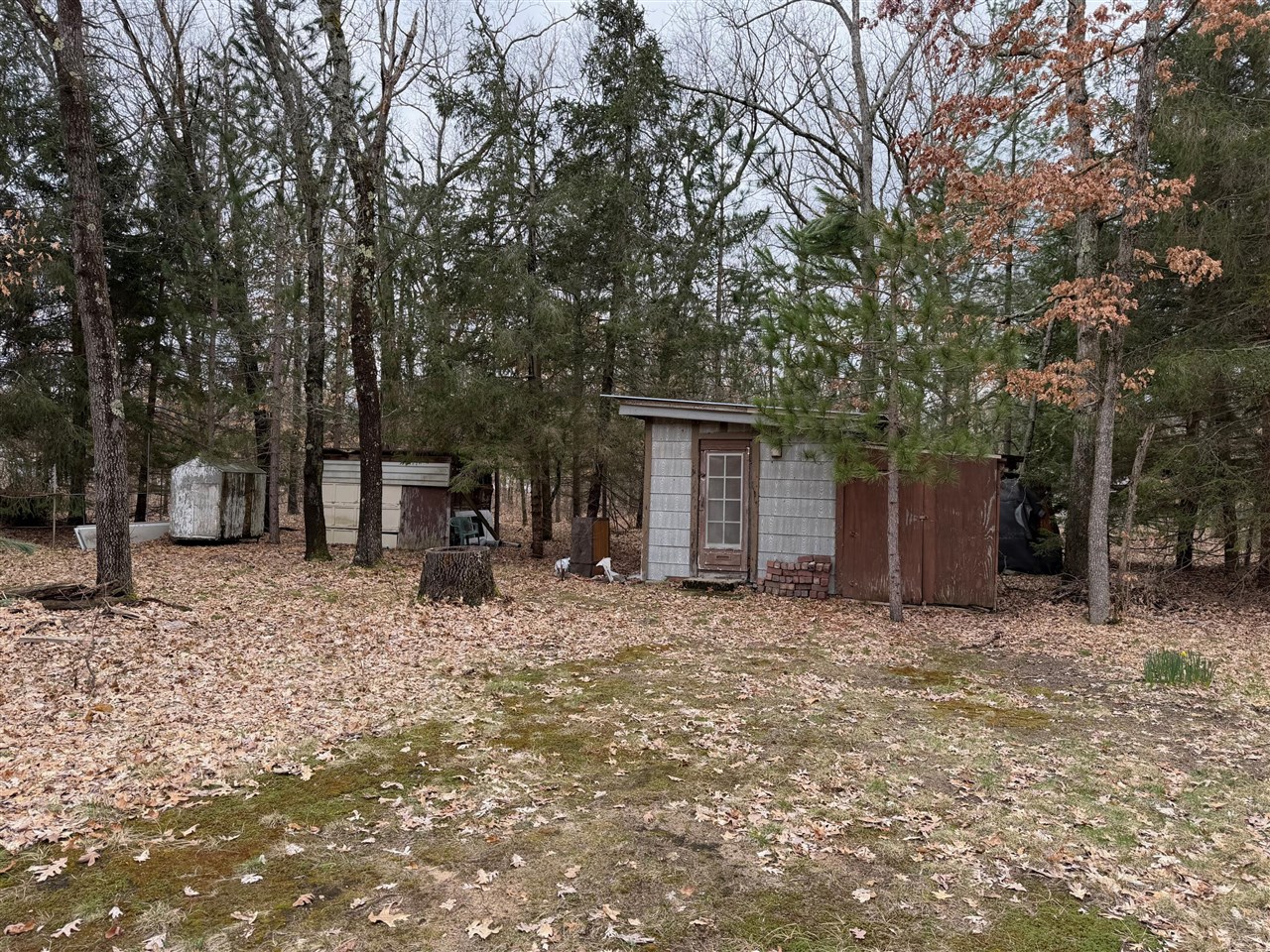10697 N Java Road, Irons, MI, 49644-9467