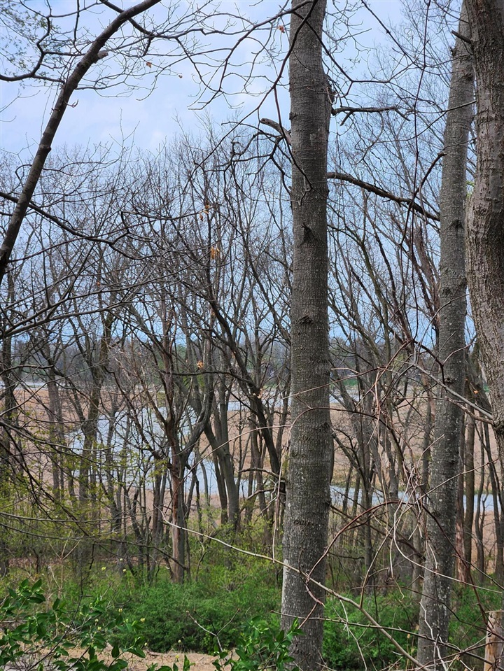 Photo 2 of Land for sale at 17708 Thunder Rd, New Buffalo, MI 49117 | MLS# 70525880 | Listing updated on 2026-09-13